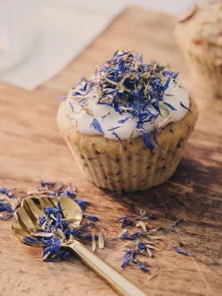 Bleuets comestibles séchés