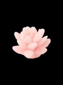 Bougie en forme de fleur