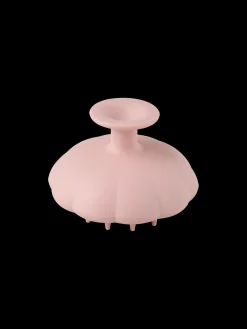 Brosse de shampooing
