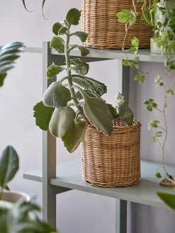 Cache-pot panier avec doublure