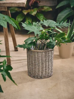 Cache-pot Willow avec anses