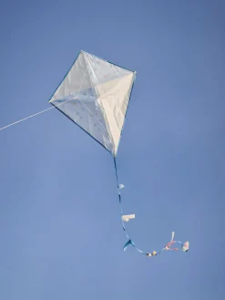 Cerf-volant