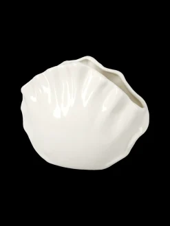 Coquillage déco