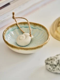 Coquillage décoratif