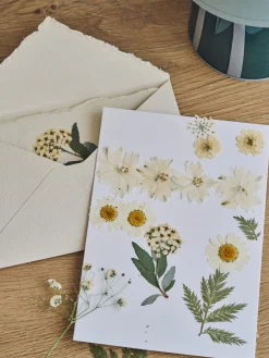 Fleurs séchées