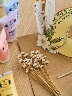 Fleurs séchées pour DIY