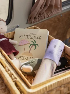 Mon petit livre coucou-caché