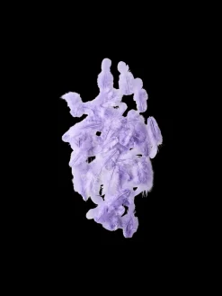 Plumes