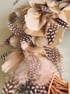 Plumes