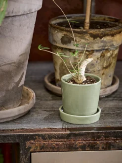 Pot de fleur avec soucoupe