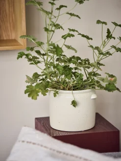 Pot de fleurs