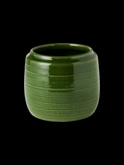 Pot de fleurs
