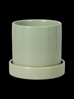 Pot de fleurs avec soucoupe