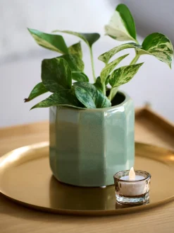 Pots de fleurs