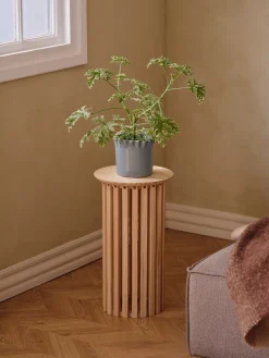 Socle