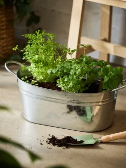 Bassine avec poignée