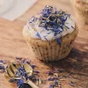 Bleuets comestibles séchés