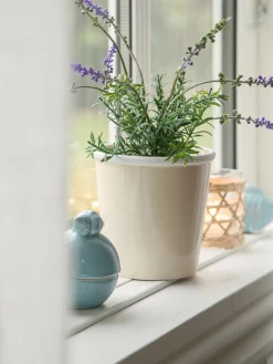 Bocal décoratif avec couvercle