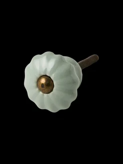 Bouton