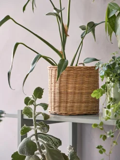 Cache-pot en panier avec doublure