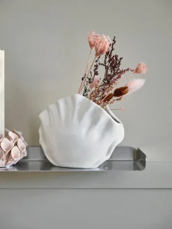 Coquillage déco