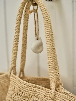 Coquillage décoratif