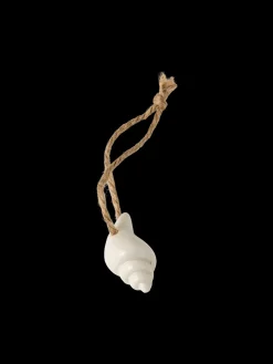 Coquillage décoratif