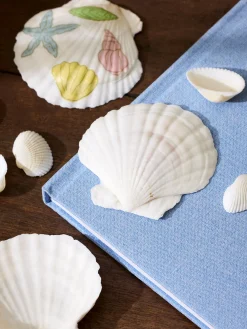 Coquillages