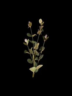 Fleur artificielle