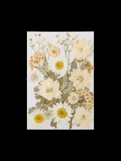 Fleurs séchées