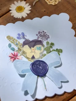 Fleurs séchées