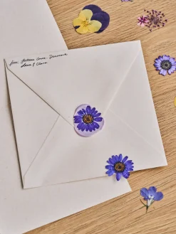 Fleurs séchées