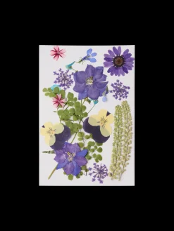 Fleurs séchées