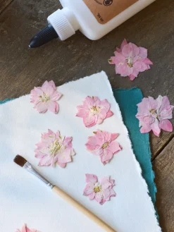 Fleurs séchées