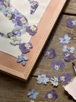 Fleurs séchées