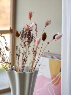 Fleurs séchées mélangées