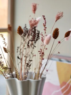 Fleurs séchées mélangées