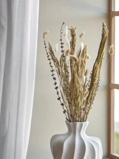 Fleurs séchées mélangées