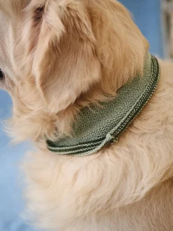 Foulard pour chien