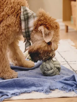 Jouet balle en corde pour chien