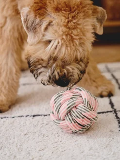 Jouet balle en corde pour chien