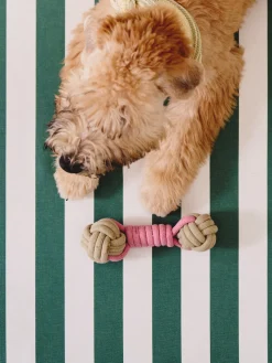 Jouet en corde pour chien