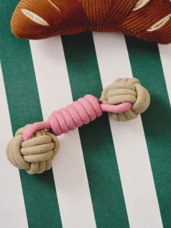 Jouet en corde pour chien