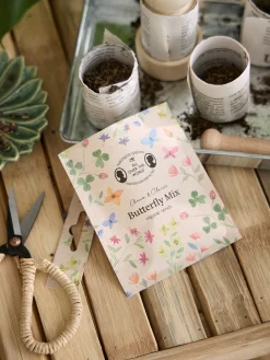 Mélange de graines pour papillon bio