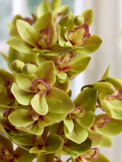 Orchidée artificielle