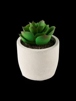 Plante succulente artificielle en pot