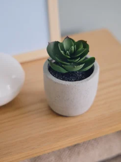 Plante succulente artificielle en pot