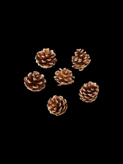 Pommes de pin argent
