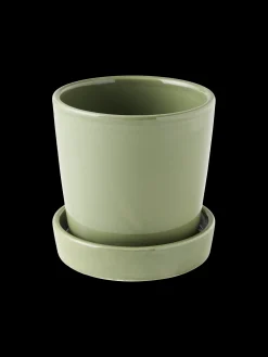 Pot de fleur avec soucoupe