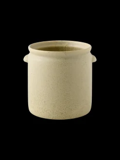 Pot de fleurs